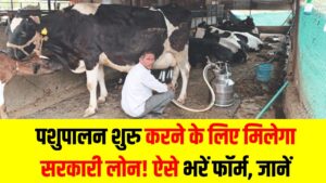 Dairy Loan: पशुपालन शुरू करने के लिए मिलेगा सरकारी लोन! ऐसे भरें फॉर्म, सब्सिडी की डिटेल जानें
