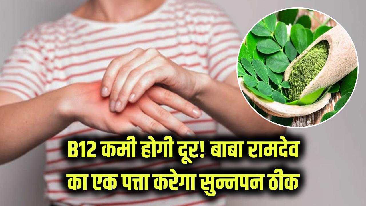 B12 की कमी मिनटों में दूर! बाबा रामदेव ने बताया एक ऐसा पत्ता जो ठीक करेगा सुन्नपन और नर्व कमजोरियाँ